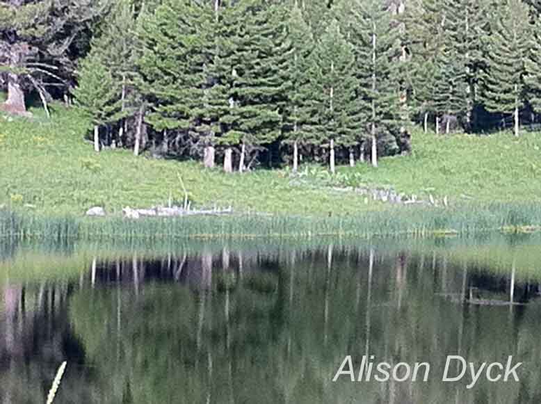 Lake at Yellowstone